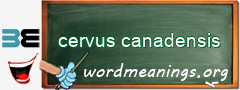 WordMeaning blackboard for cervus canadensis